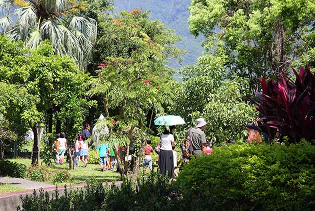 走入亞泥生態園區　流連蝴舞祕境