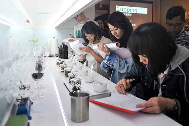 品茶跟品酒一樣也要認證  「講茶」要讓台灣茶成為全球「最重要3%」