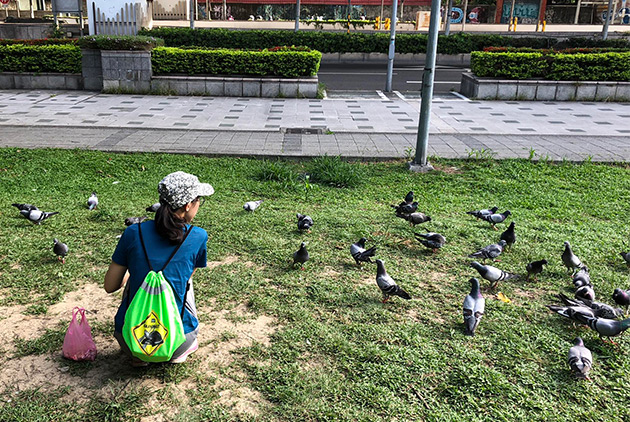 都市的「動物風水師」　博威鳥控替你解決各種「鳥事」