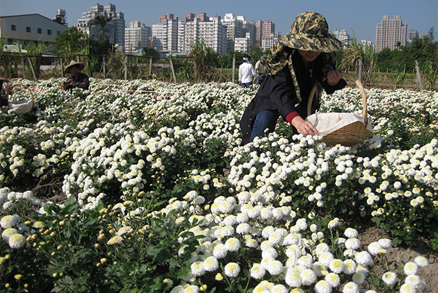 【專欄】陳孟凱：為何我們需要農夫市集與社群協力農業？