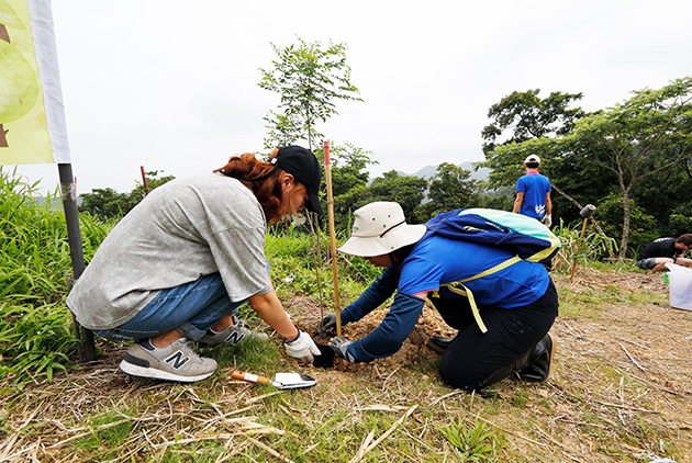 從綠屋頂到上山種樹　博仲律師事務所的「碳抵銷」綠色經營學