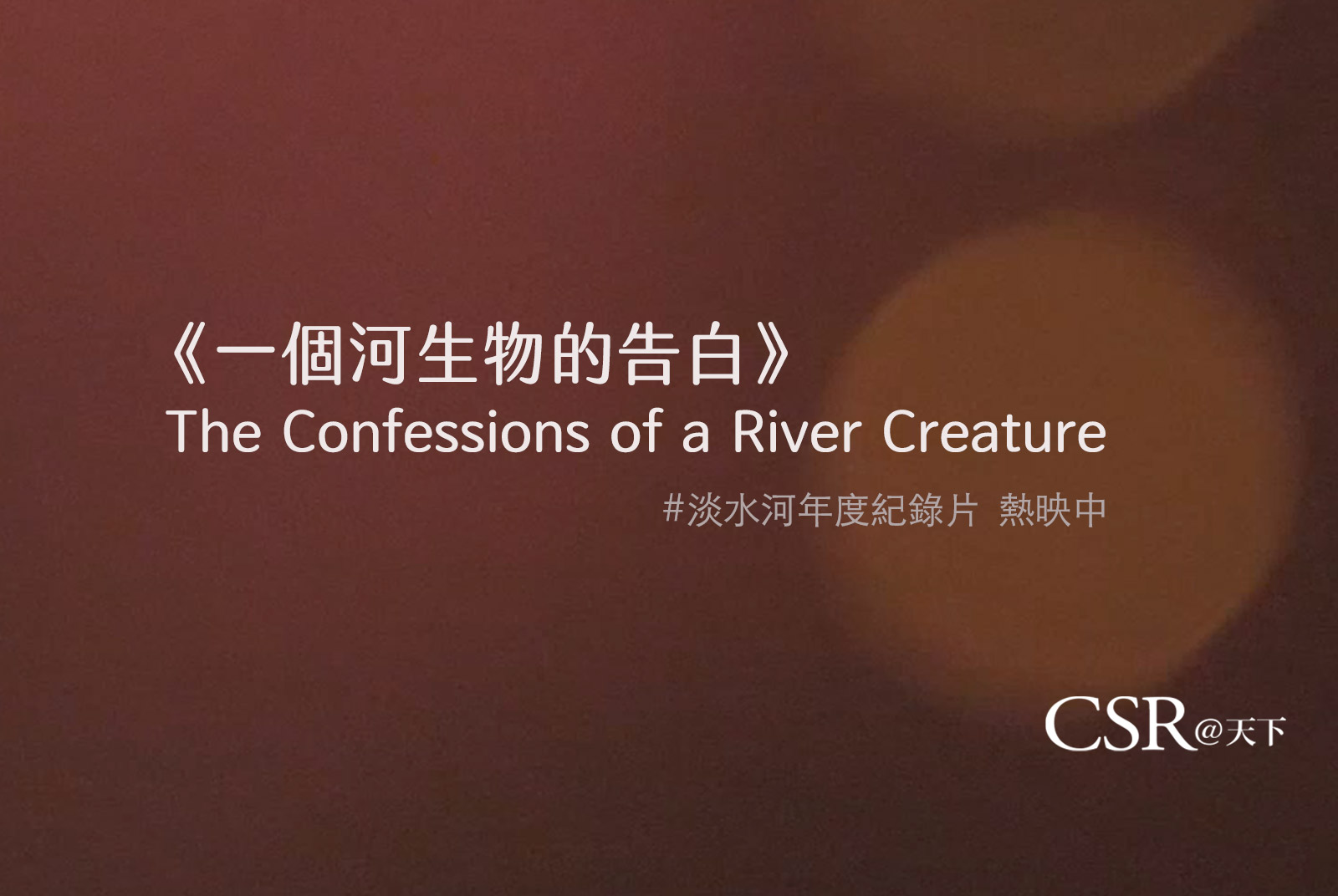 《一個河生物的告白》The Confessions of a River Creature｜淡水河紀錄片 