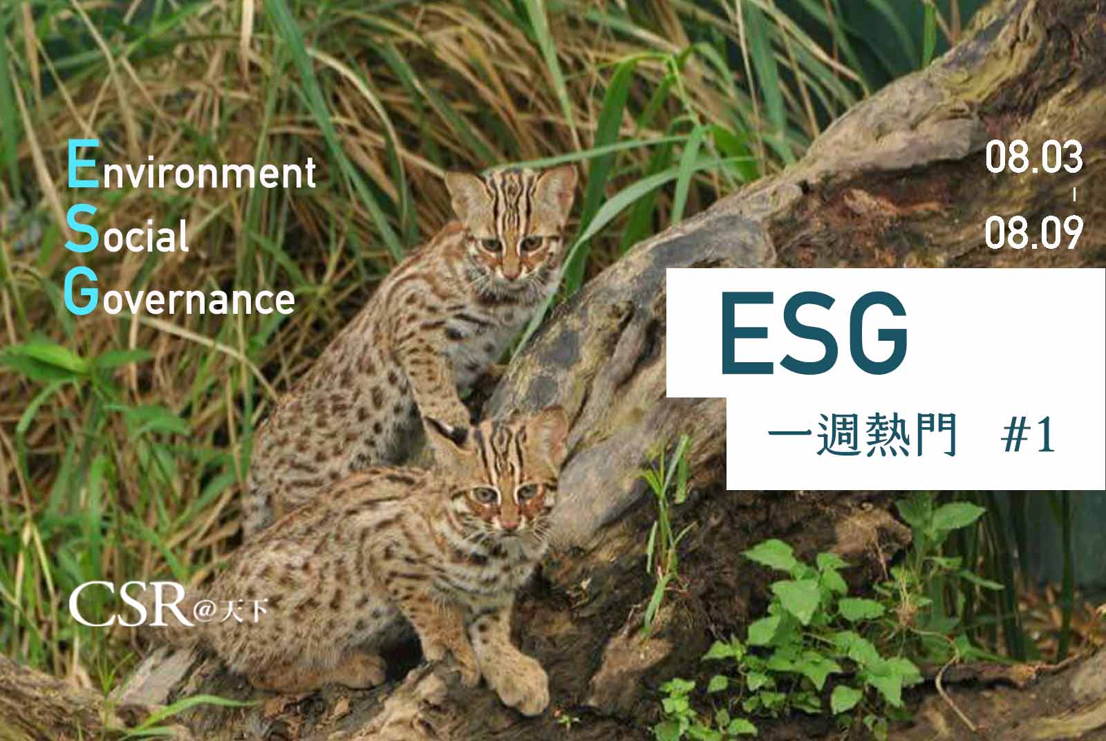 天下ESG Talk #1　一分鐘掌握ESG最新動態
