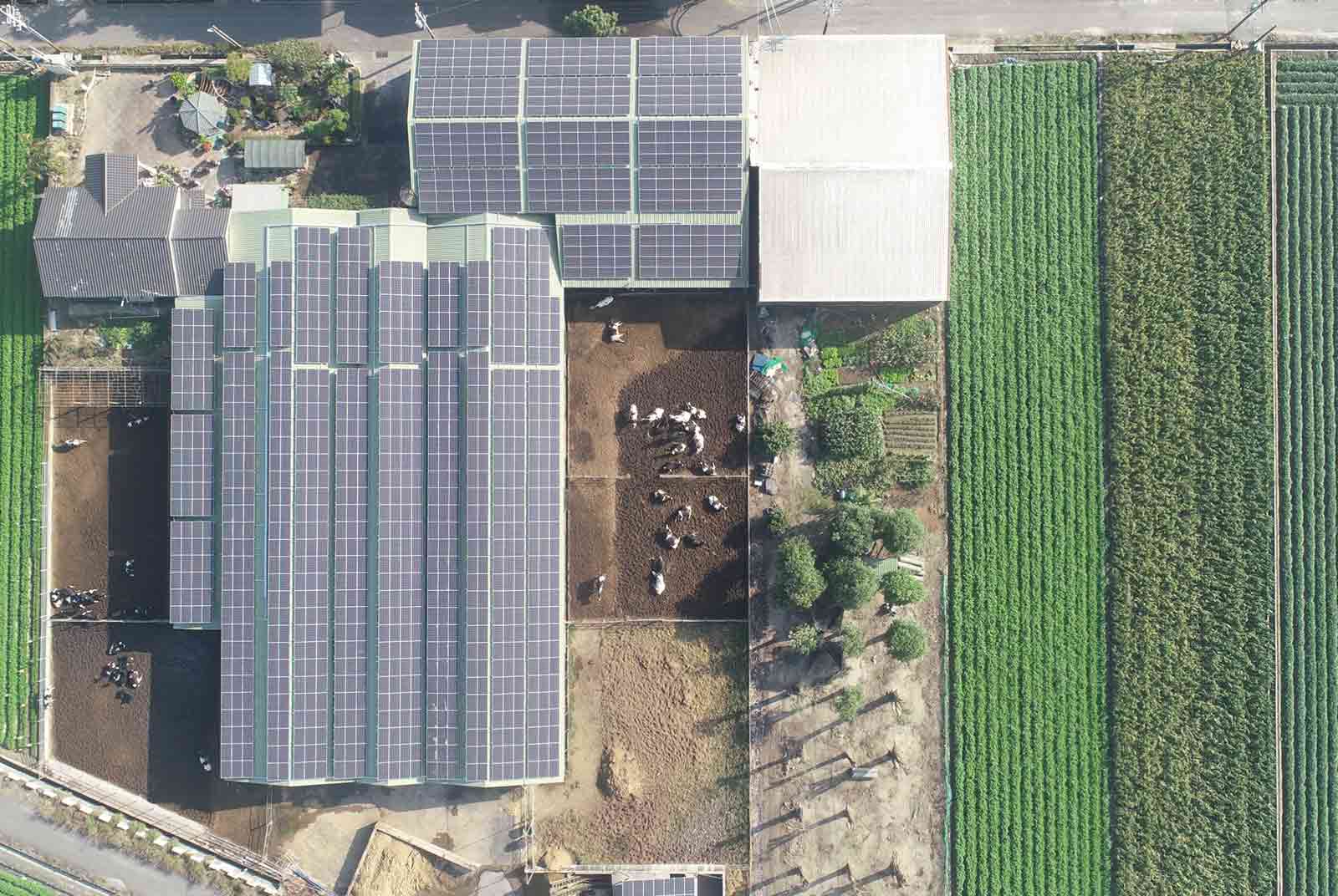 萊雅承諾環境永續 用綠電年減碳等同5.1萬棵樹木吸碳量