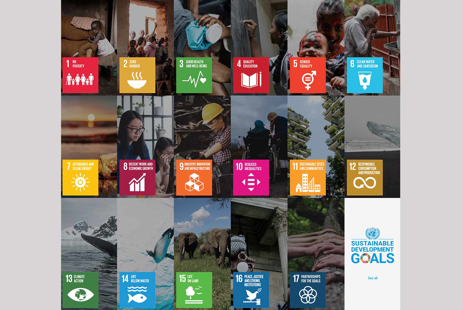 金融的溫柔手　SDGs支持行動