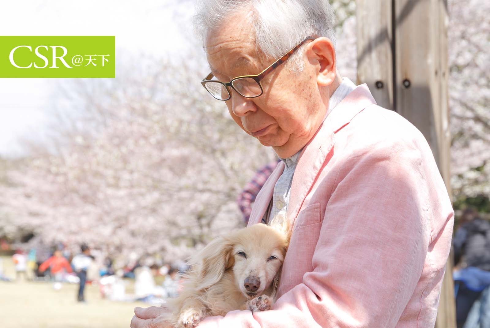 忠犬八公的故鄉　日本秋田市用「終活城」打造高齡友善環境