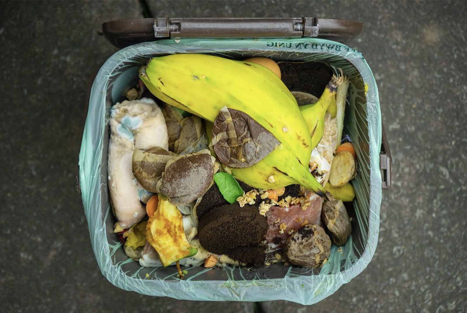 每年浪費近10億噸糧食！聯合國：糧食浪費增10%碳排