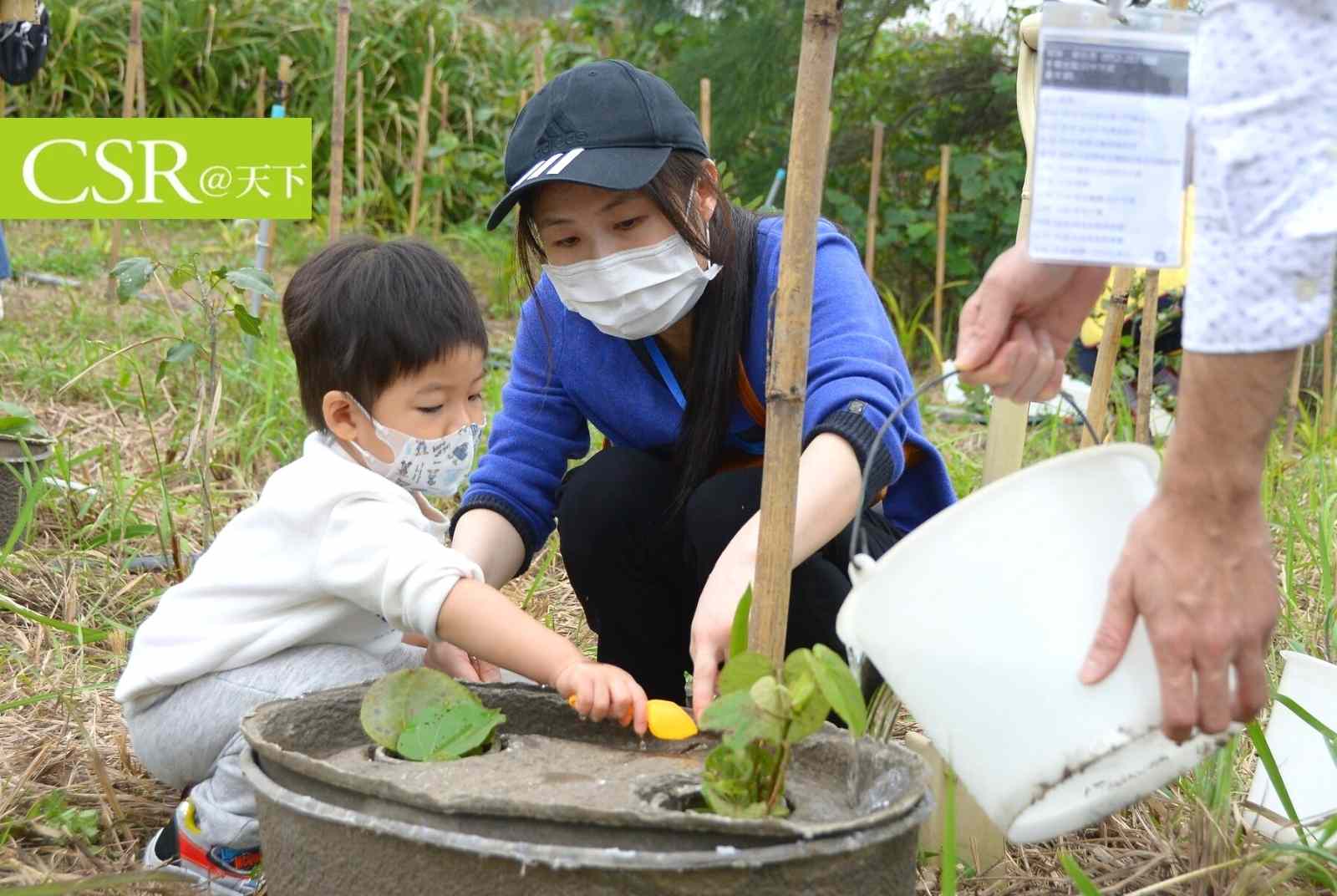 金門的樹以前怎麼種、怎麼死　「水寶盆」逆轉樹苗存活率高達70%，幫金門打造綠色防風長城
