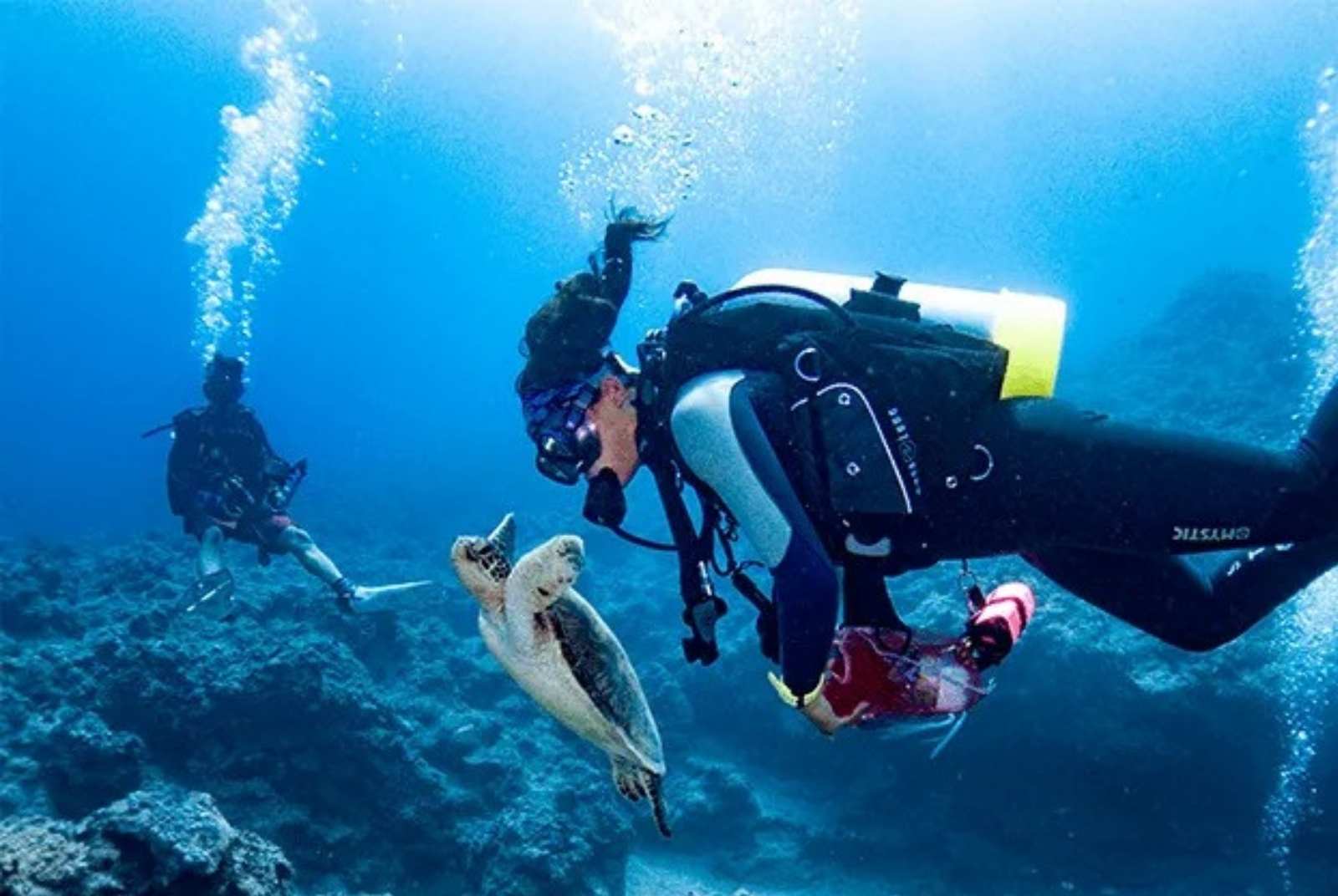 下海無意破壞了生態？3 項低污染指南，還給大海一片生機