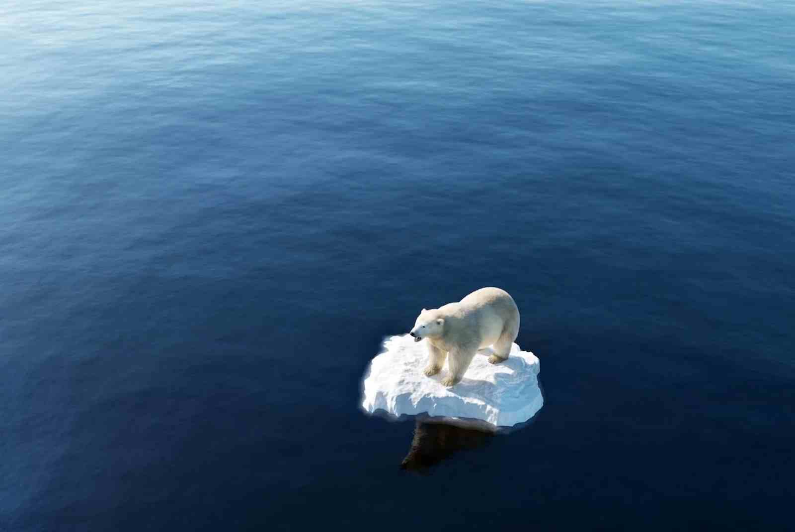【COP26直擊】碳價喬不攏　COP26開了也是白開？