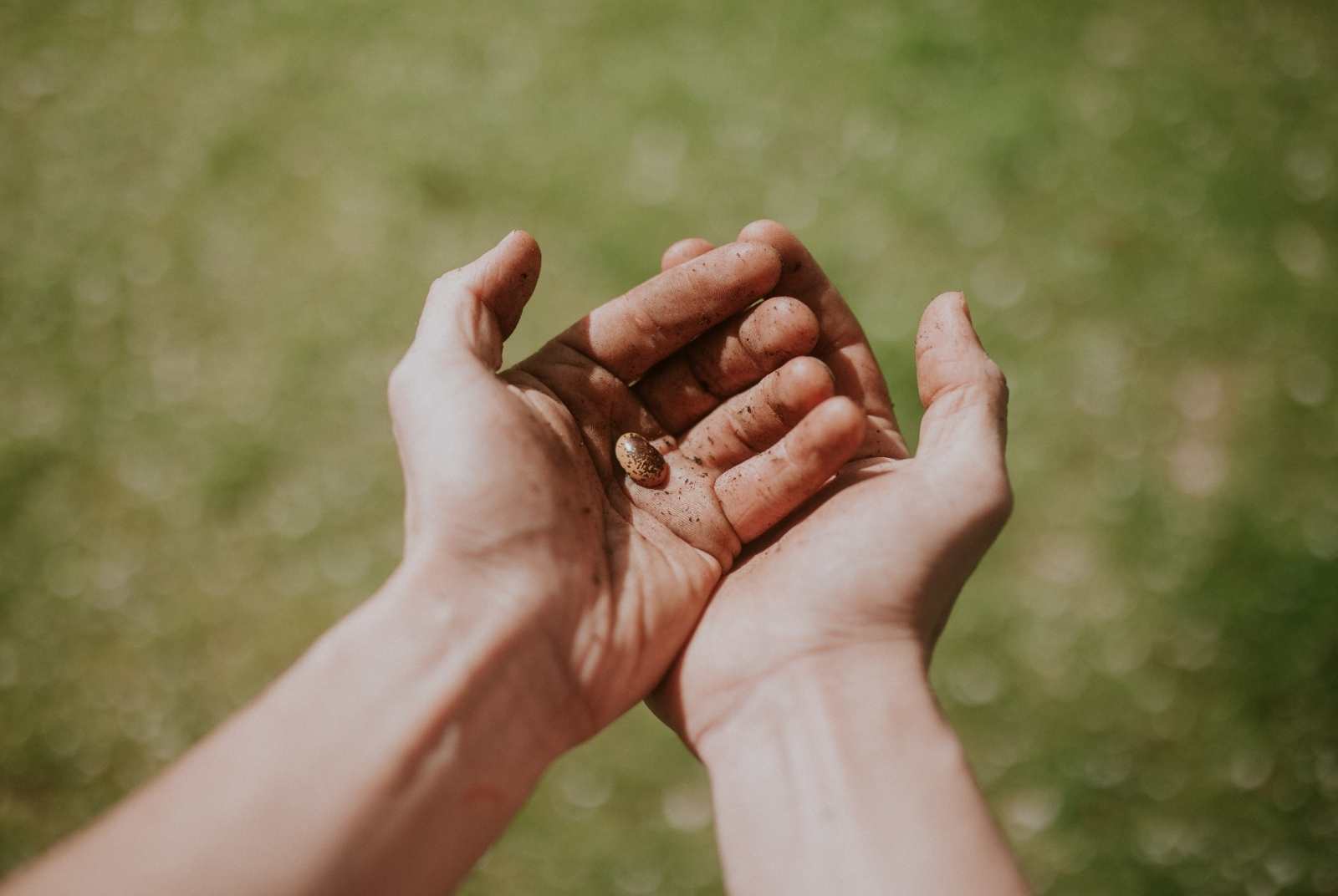 世界並不仁慈，但也不會虧待你    如果沒人僱用你，你就僱用自己吧！｜虎哩希望書展
