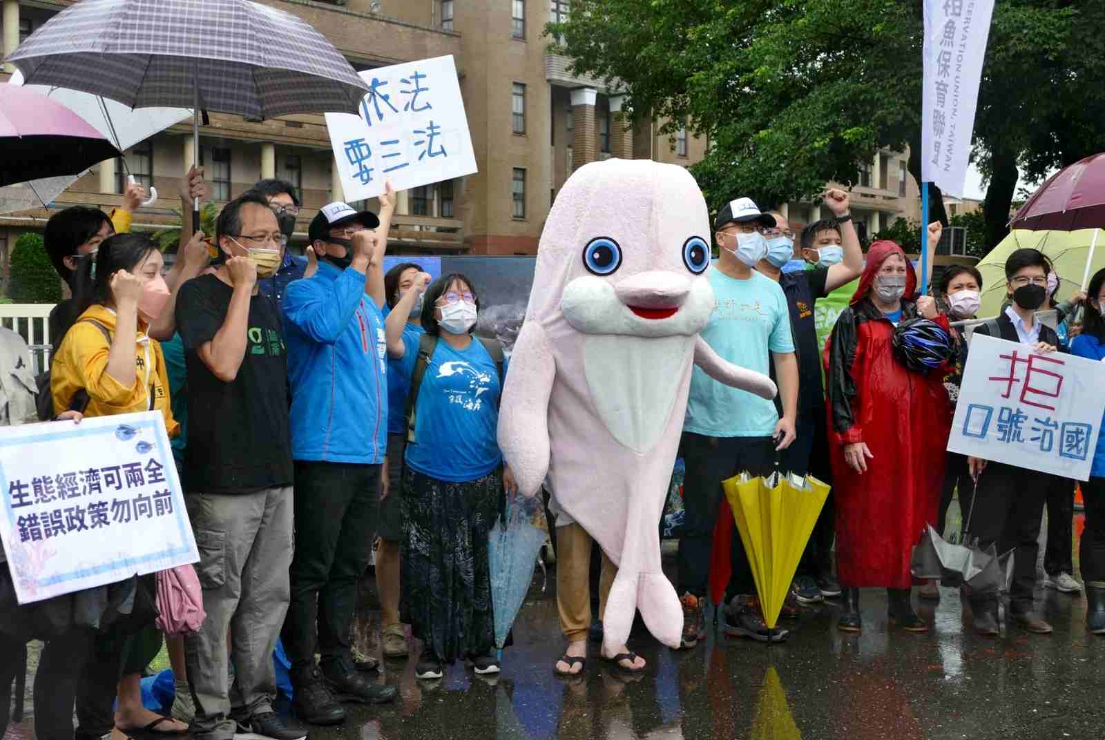 海洋日真相：鯨鯊、龍王鯛和鯨豚已瀕危！21個NPO呼籲行政院儘速制定海洋三法救台灣海洋