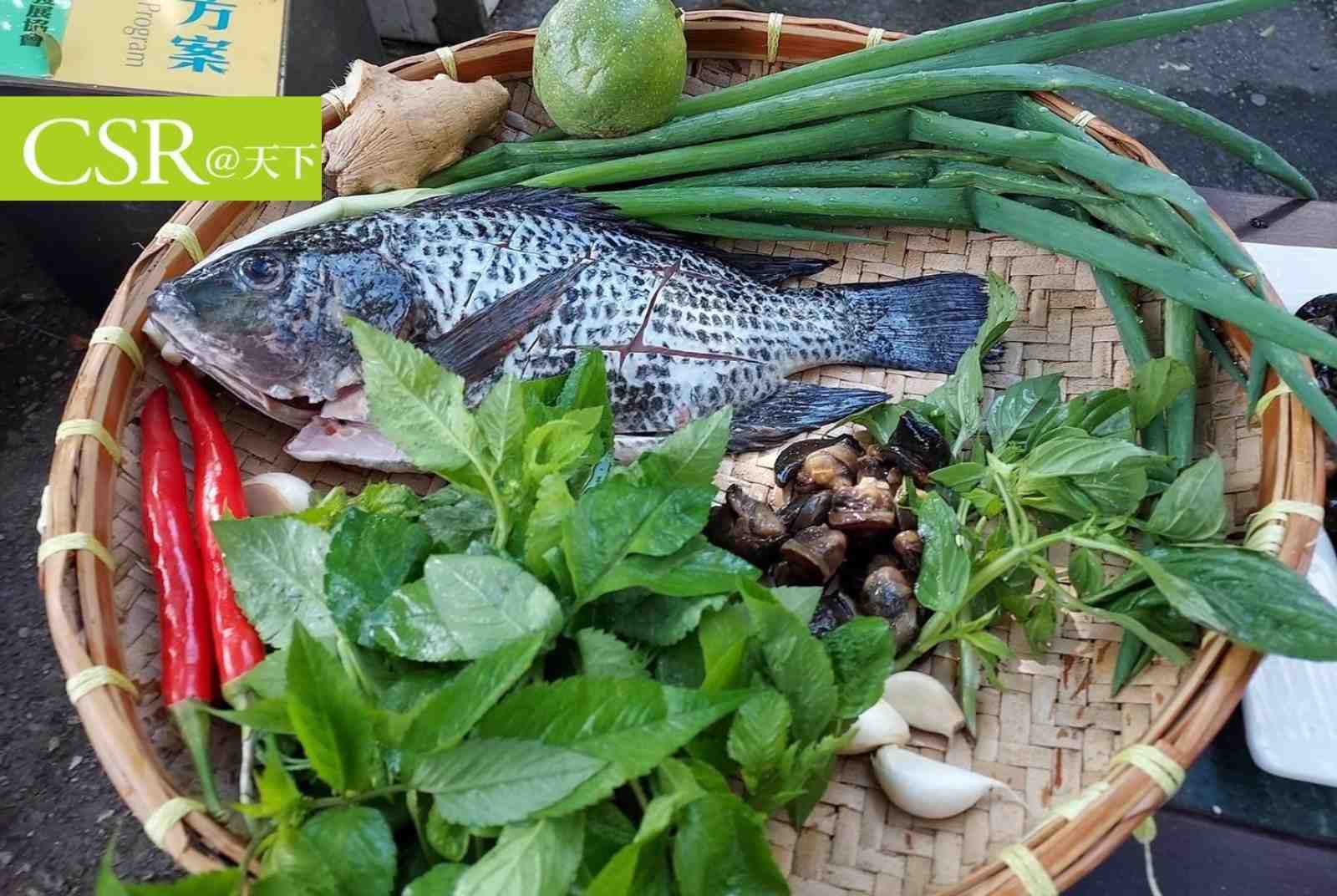 外來種的吳郭魚、台灣鯛，只看經濟貢獻就這樣命名合適嗎？