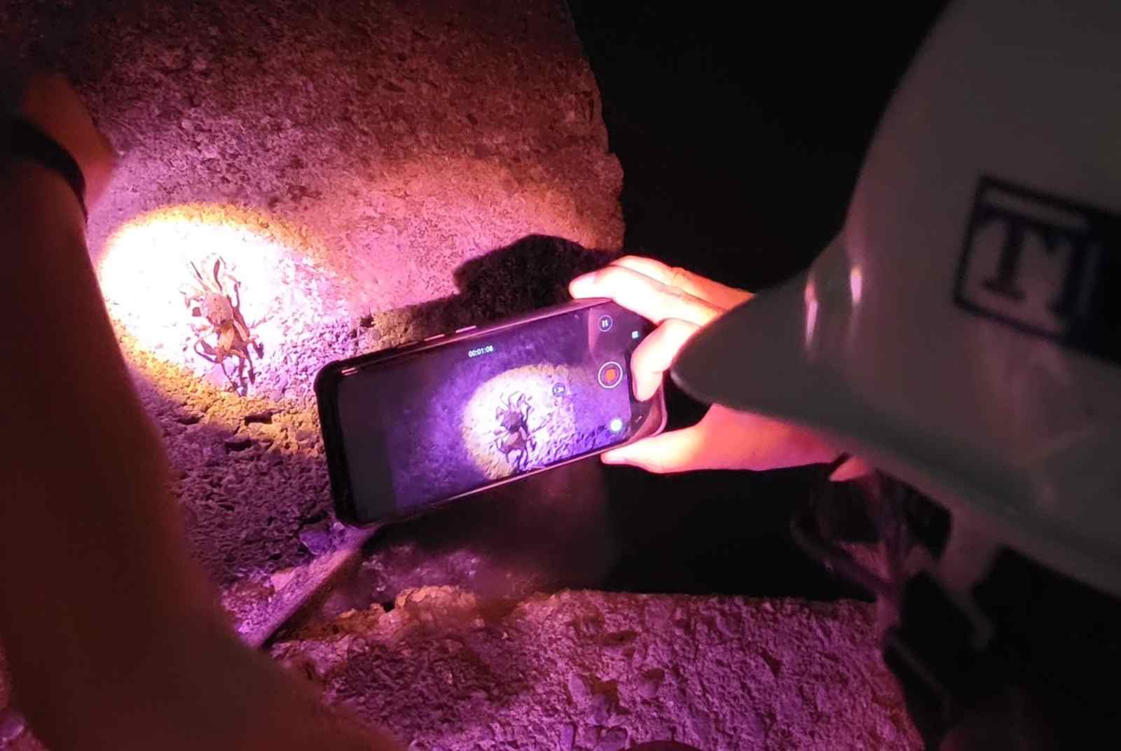 讓河川再次成為各種生物的家園　來幫小毛蟹找一條回家的路吧
