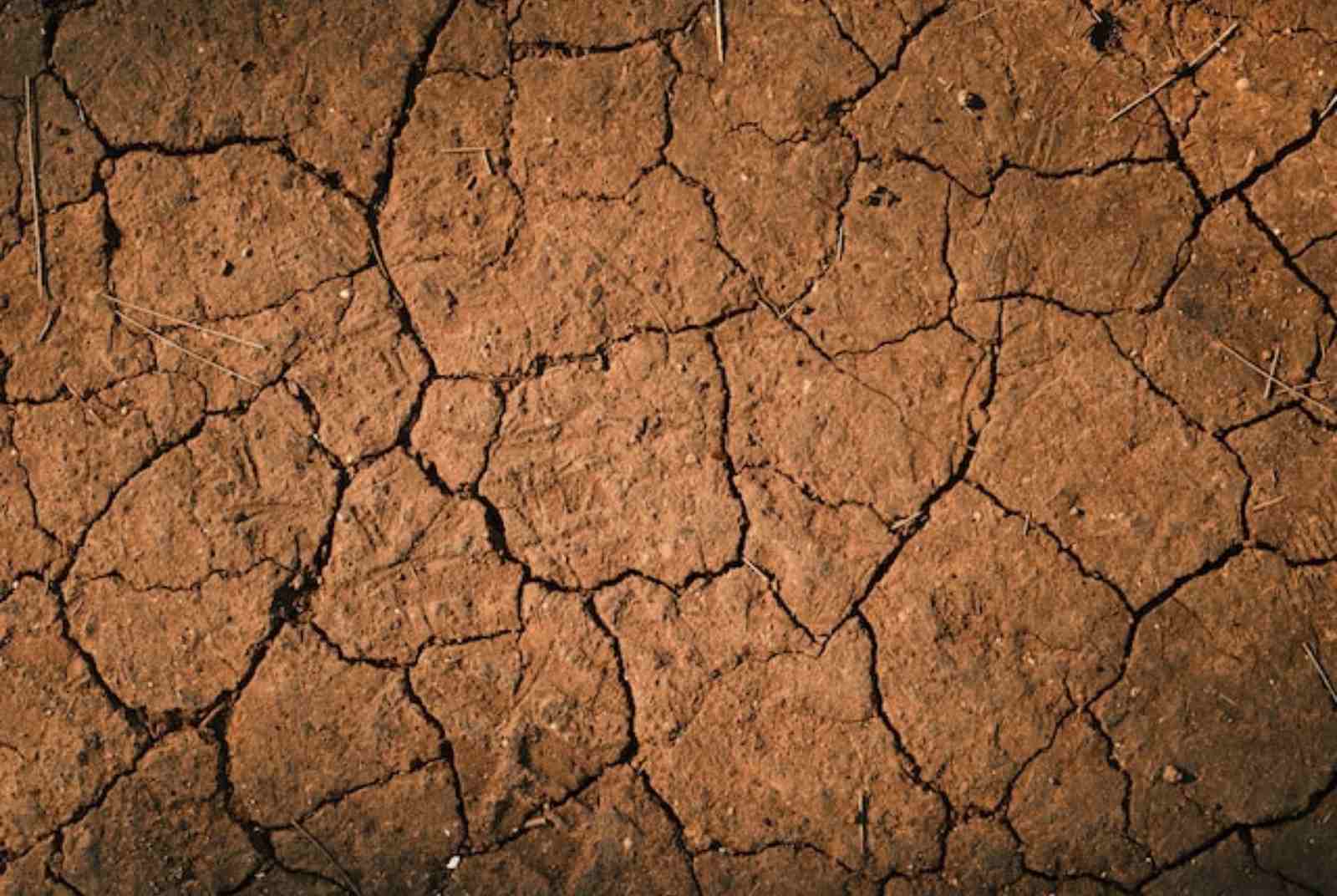 法國礦泉水故鄉陷乾涸危機　富維克、雀巢大廠遭控「搶水」