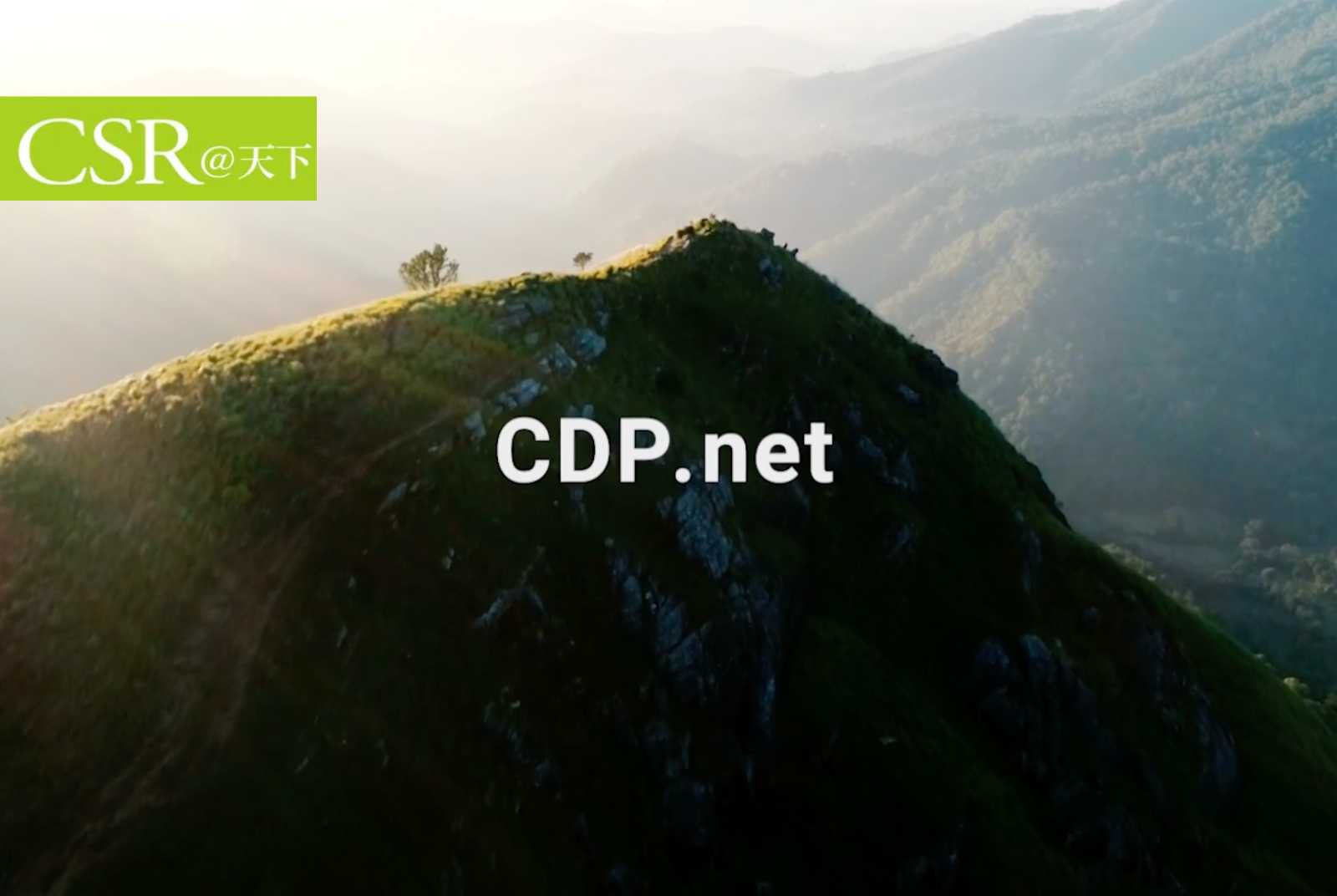 2023年CDP結果：3A企業變動，開雲取代LVMH、不動產業首度入選，台灣雙A公司增至8家　CDP點名巴菲特、馬斯克的企業未回應要求