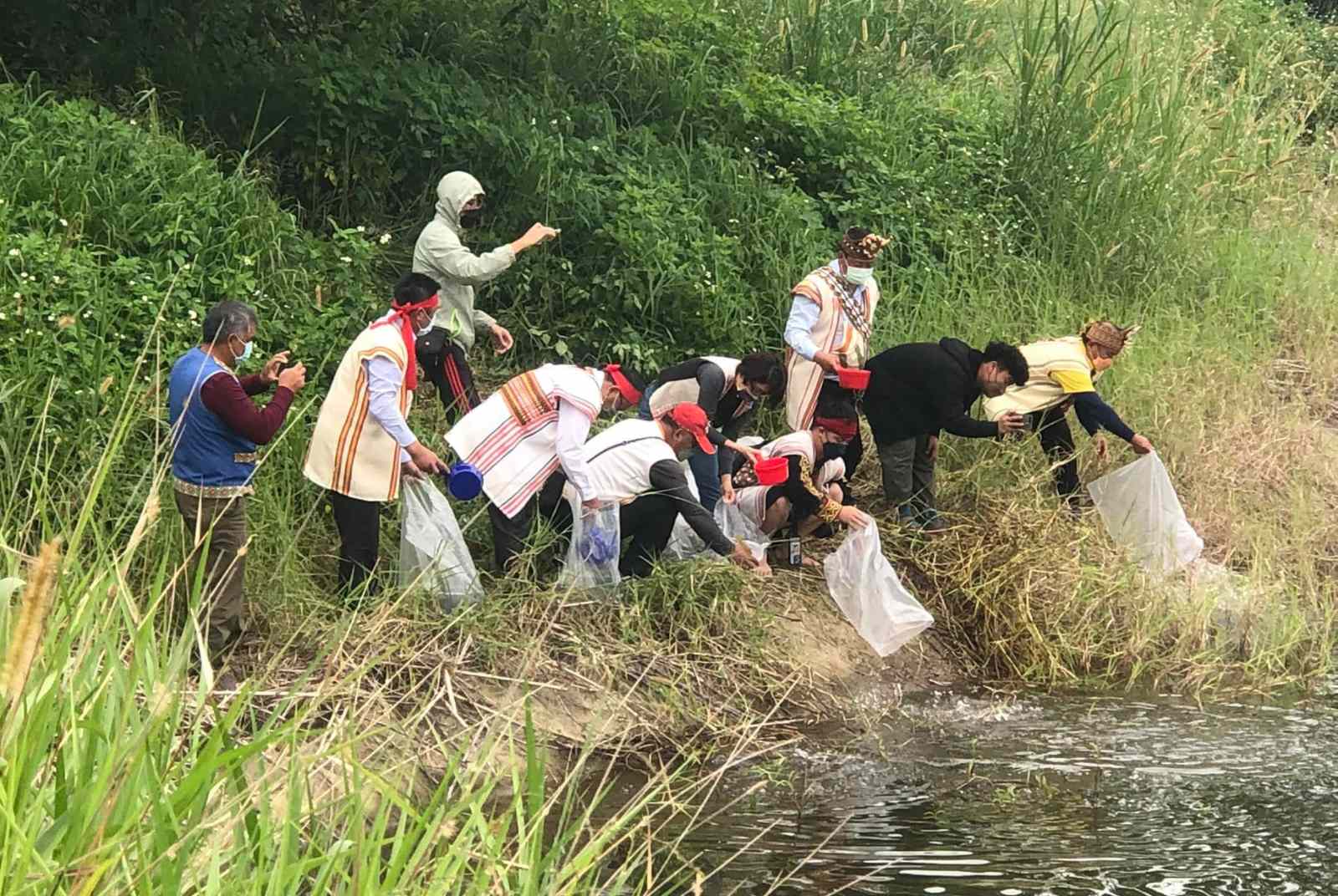 工程、外來種、除草劑⋯⋯「美人的眼淚」台東鸞山湖只能讓環境流淚？