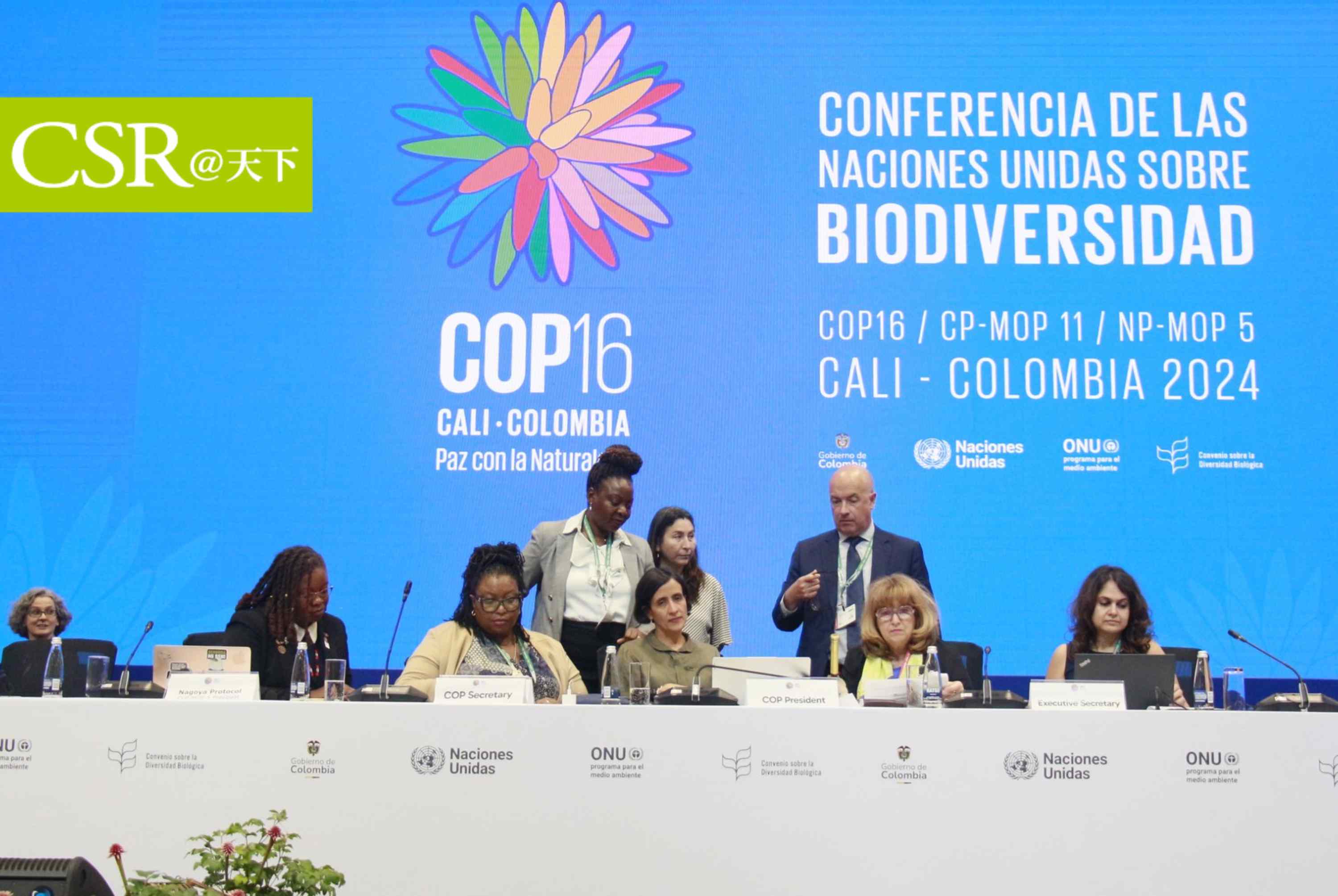 COP16通過兩大決議：企業使用基因序列需付費、生物多樣性大會建立原民常設機構
