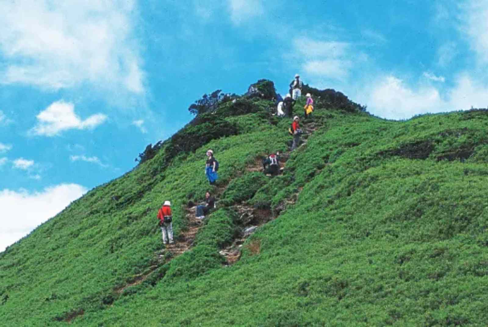 跳脫舒適圈，踏出探索的步伐｜歐都納董事長程鯤推薦　無痕山林4步道