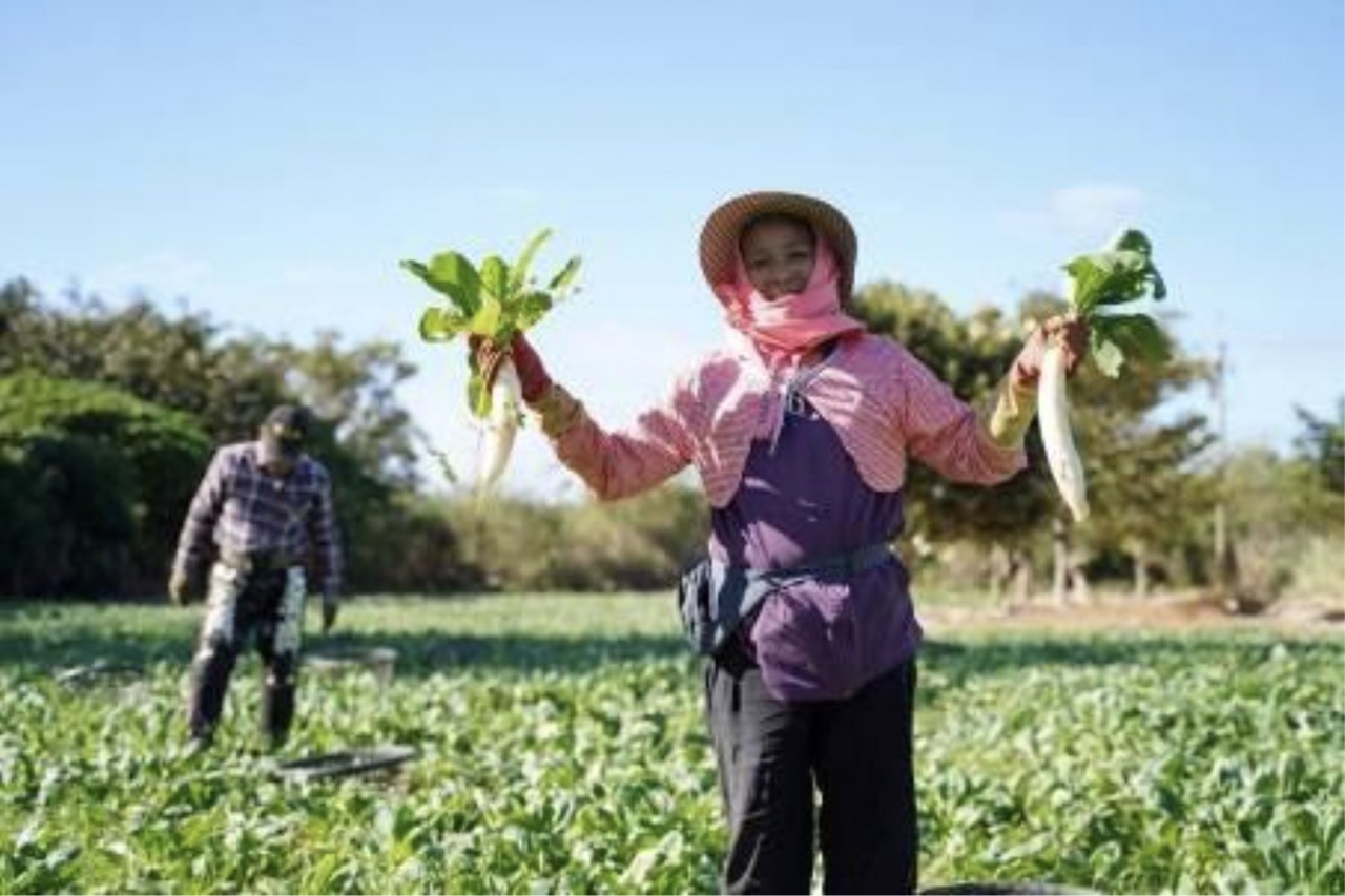 新年走春，9個國家公園提供秘境與年節活動，帶你認識台灣黑熊與山椒魚