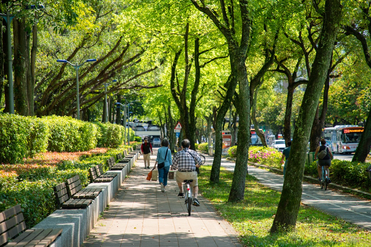 綠色和平：自己的綠電自己發，一度只要2.68元，比跟台電買便宜