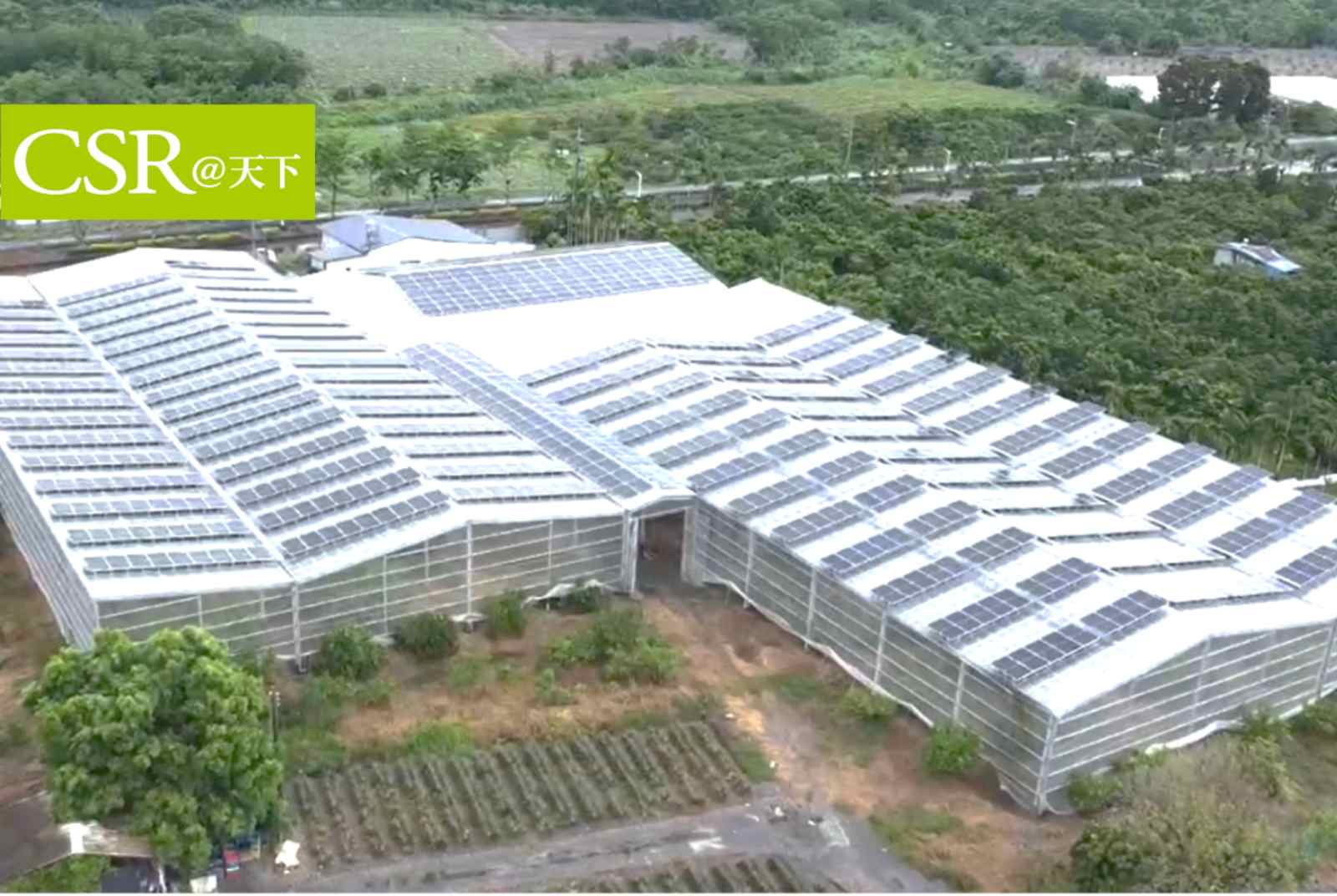 太陽光電也能與農漁業完美結合　韌性農電漁共生讓農民擺脫看天吃飯