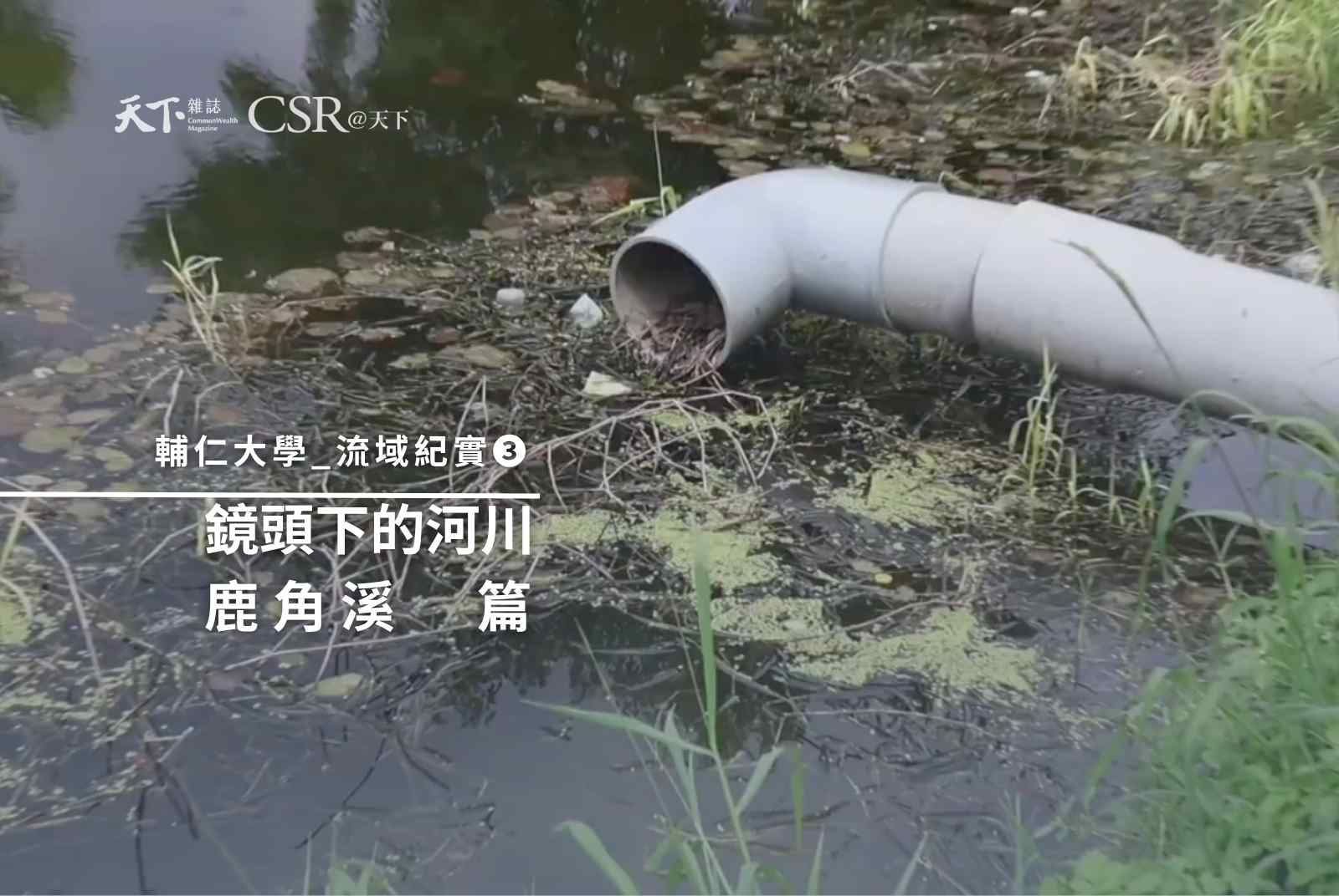 流域紀實系列｜鹿角溪篇｜如果濕地消失了？【流域共好】