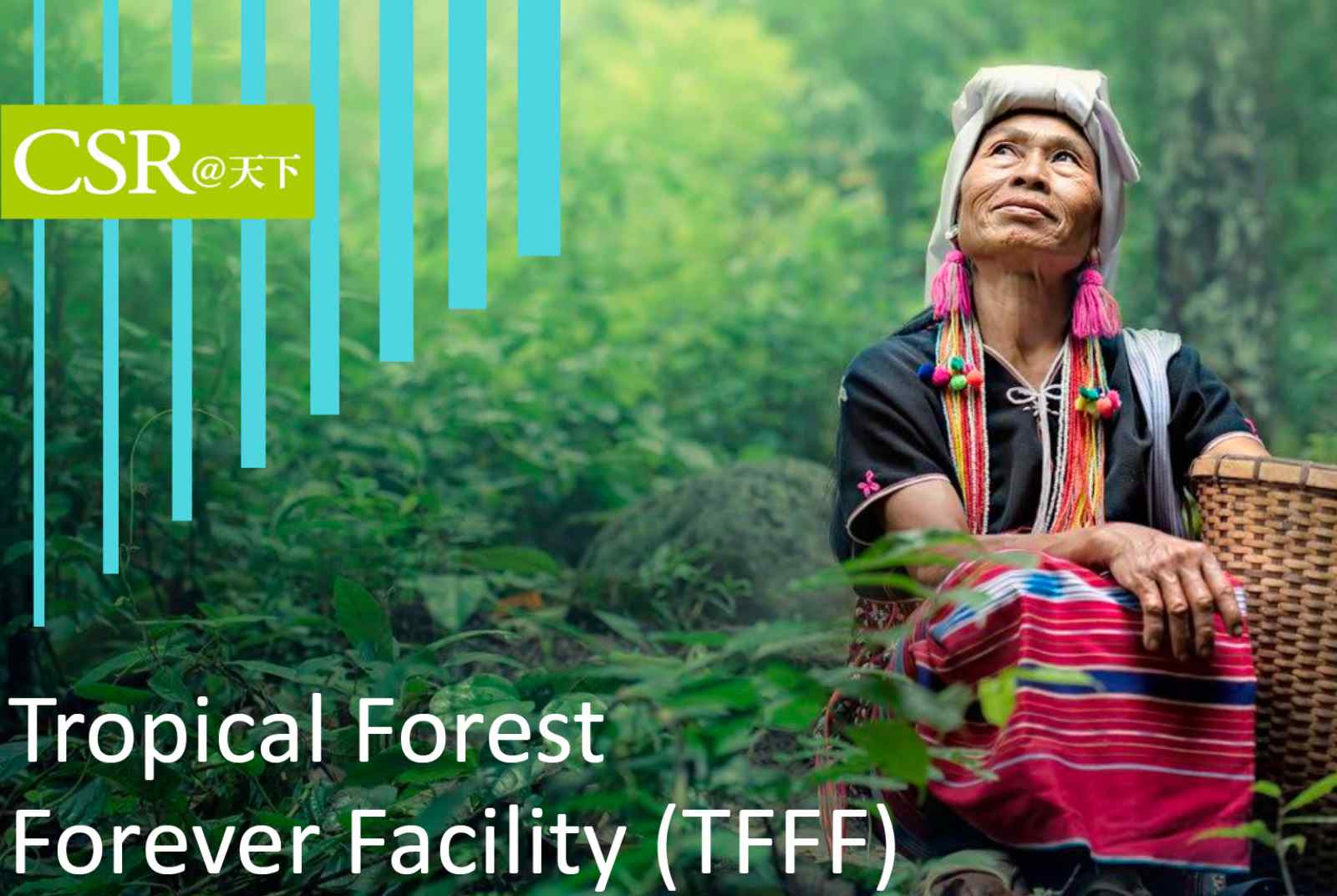 巴西藉COP30發表「熱帶森林永續基金」（TFFF）， 種子資金卻募集不到目標1/3