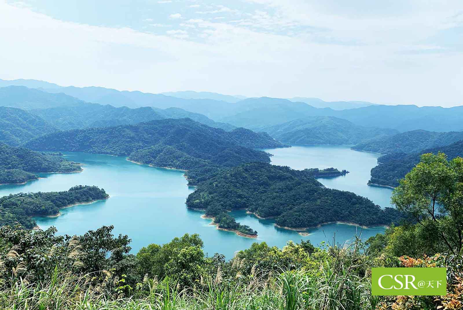 清水變黑水　誰能還我乾淨的淡水河？